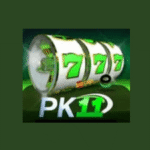 PK11 Game
